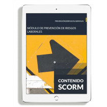 MÓDULO DE PREVENCIÓN DE RIESGOS LABORALES