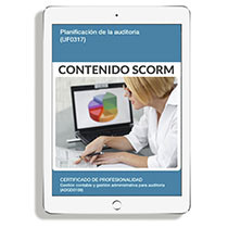 UF0317 - PLANIFICACIÓN DE LA AUDITORÍA