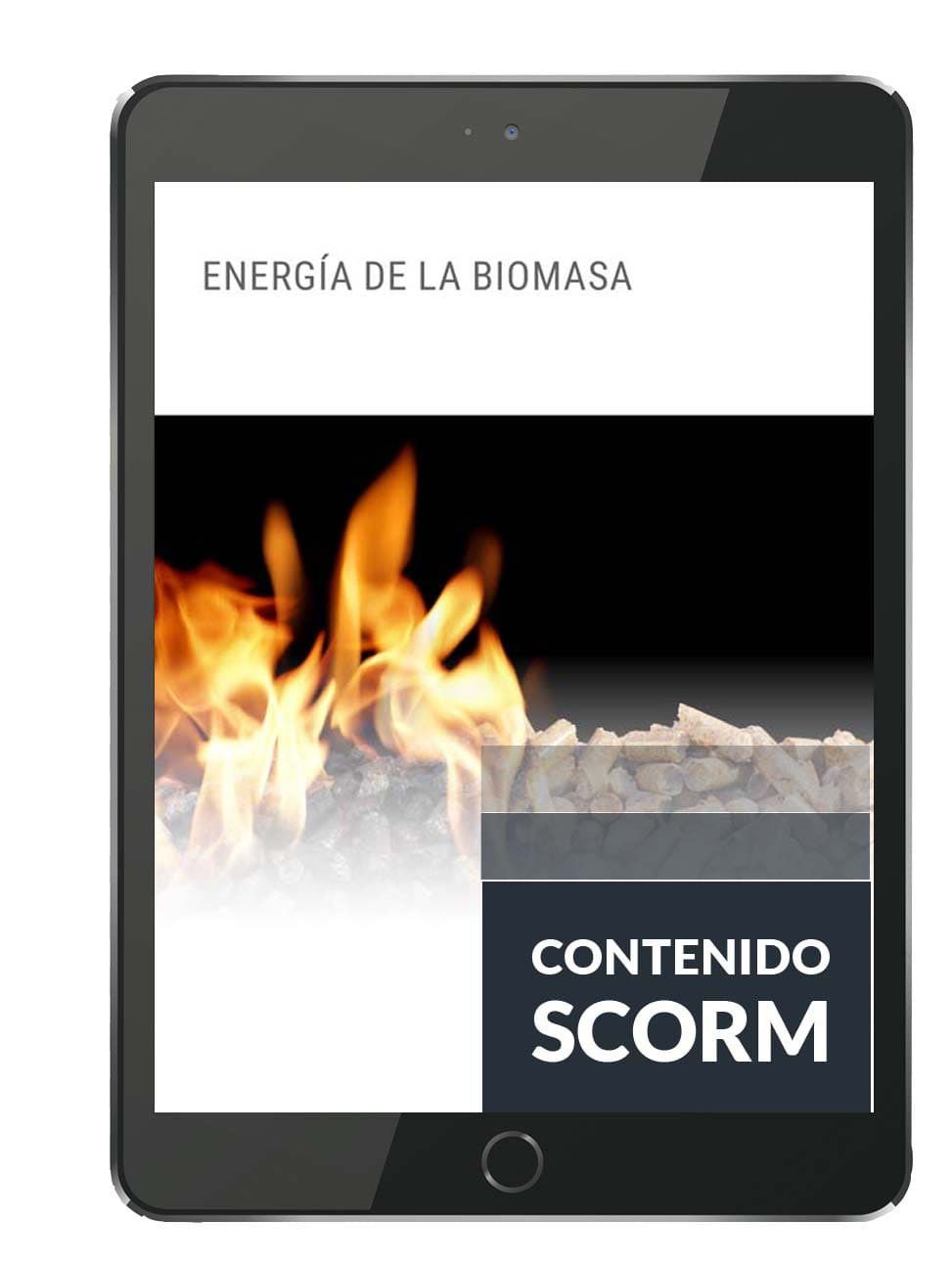 ENERGÍA DE LA BIOMASA