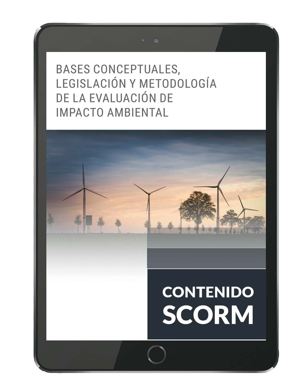 BASES CONCEPTUALES, LEGISLACIÓN Y METODOLOGÍA DE LA EVALUACIÓN DE IMPACTO AMBIENTAL