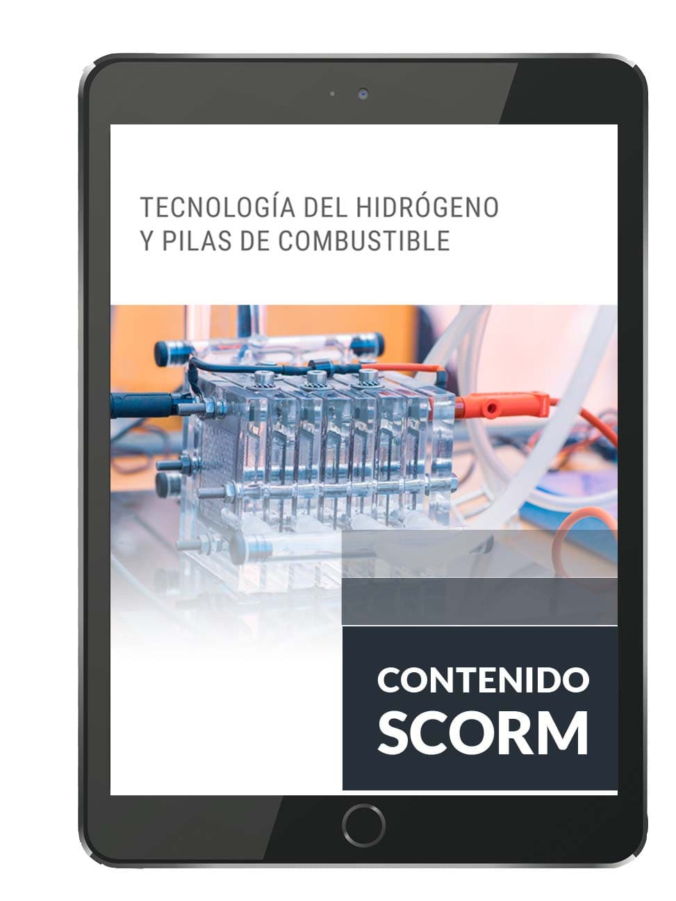 TECNOLOGÍA DEL HIDRÓGENO Y PILAS DE COMBUSTIBLE