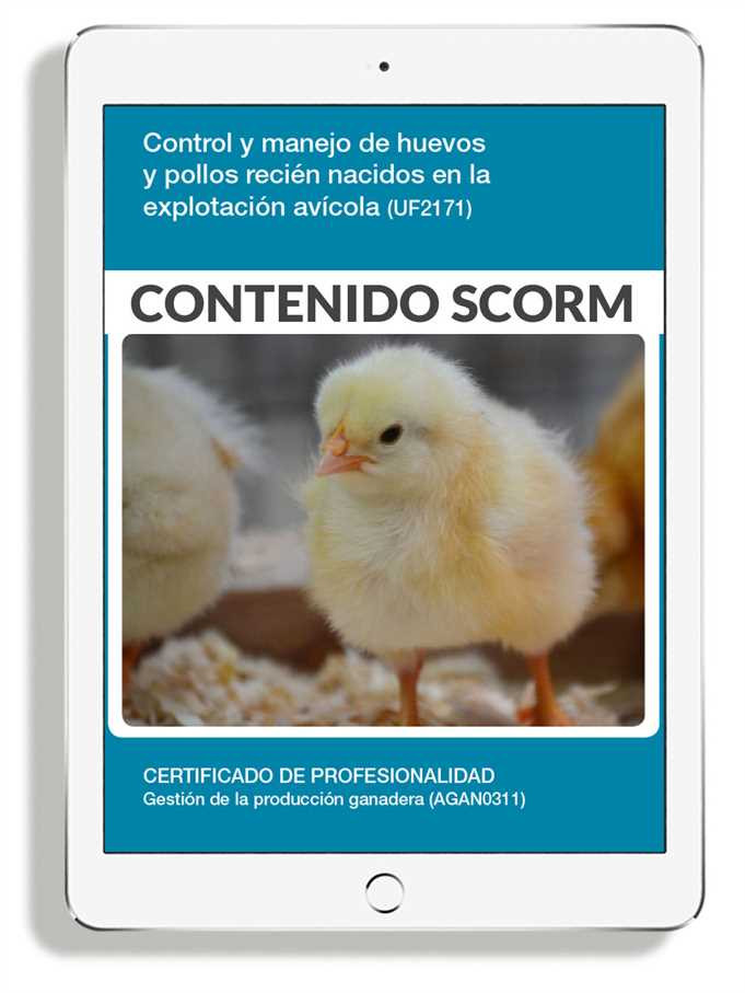 CONTROL Y MANEJO DE HUEVOS Y POLLOS RECIÉN NACIDOS EN LA EXPLOTACIÓN AVÍCOLA