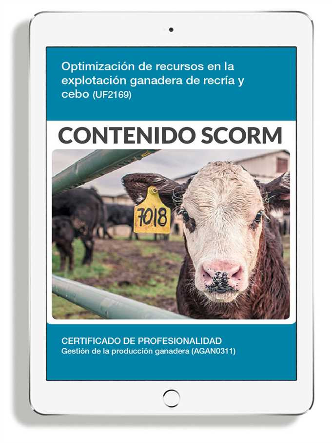 ORGANIZACIÓN DE RECURSOS EN LA EXPLOTACIÓN GANADERA DE RECRÍA Y CEBO