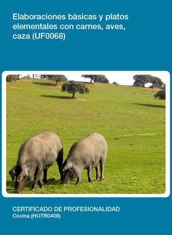 UF0068 - Elaboraciones básicas y platos elementales con carnes, aves, caza