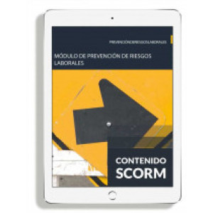 MÓDULO DE PREVENCIÓN DE RIESGOS LABORALES