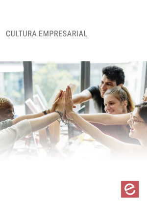 CULTURA EMPRESARIAL