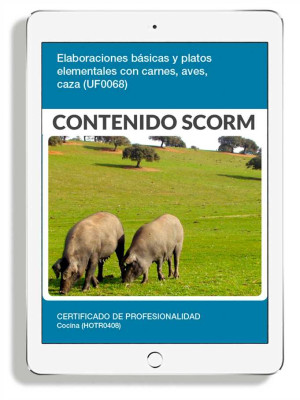 ELABORACIONES BÁSICAS Y PLATOS ELEMENTALES CON CARNES AVE Y CAZA