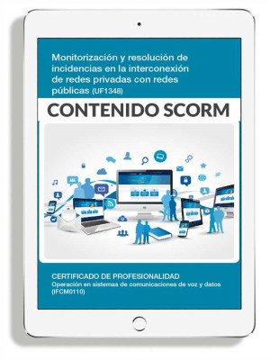 MONITORIZACIÓN Y RESOLUCIÓN DE INCIDENCIAS EN LA INTERCONEXIÓN DE REDES PRIVADAS CON REDES PÚBLICAS