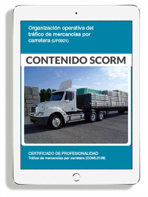 ORGANIZACIÓN OPERATIVA DEL TRÁFICO DE MERCANCÍAS POR CARRETERA