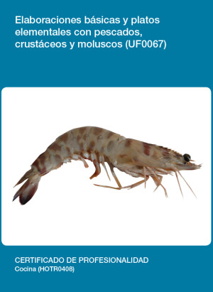 UF0067 - Elaboraciones básicas y platos elementales con pescados, crustáceos y moluscos
