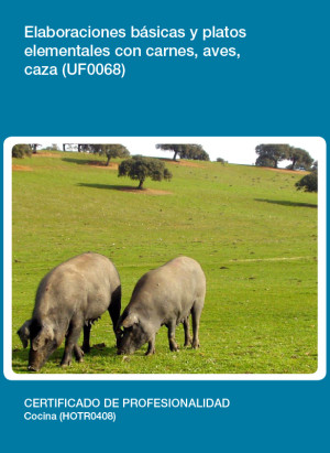 UF0068 - Elaboraciones básicas y platos elementales con carnes, aves, caza