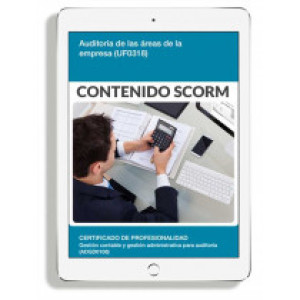 UF0318 - AUDITORÍA DE LAS ÁREAS DE LA EMPRESA